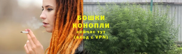ECSTASY Богданович