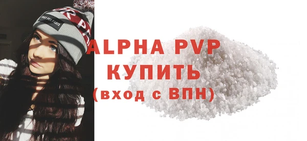 ECSTASY Богданович