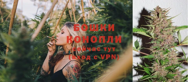 ECSTASY Богданович