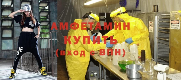 ECSTASY Богданович