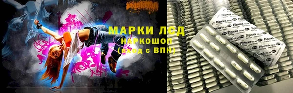 ECSTASY Богданович