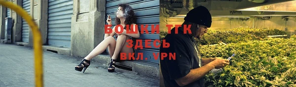 ECSTASY Богданович