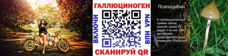 Галлюциногенные грибы мицелий  Вилючинск 
