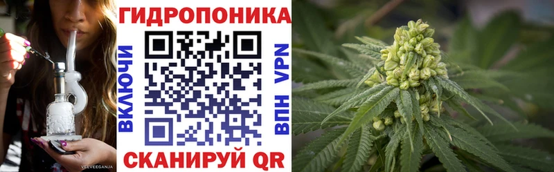 Марихуана план  сайты даркнета официальный сайт  Вилючинск 